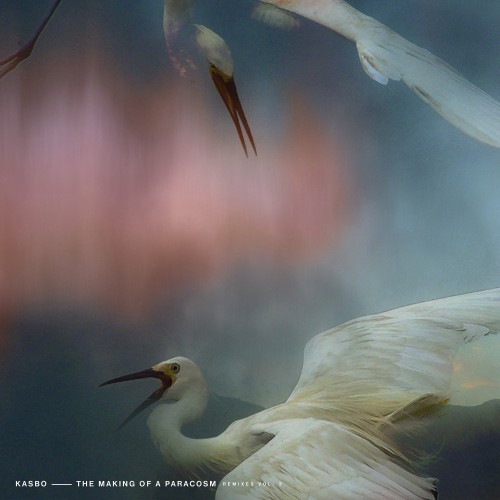 The Making of a Paracosm (Remixes Vol. 2) - 