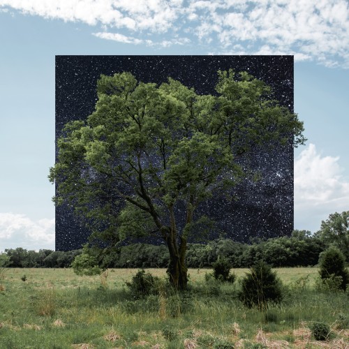 We Watch The Stars - 